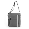 Day Trip Lunch Bag - Gray
