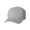 Flexfit 180 Delta Cap - Silver