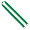 IMPORT Rush 1" Polyester 2-Ended Lanyard with Dual Sewn Silver Metal Split-Ring - Grass Green