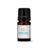 Essential Oil in 5 ml Mini Dropper Bottle - Exhale