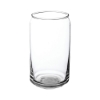 Crafty 16 oz ARC Can Shaped Beer Glasses - Clear