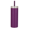 Coronado 22 oz. Straw Tumbler - Purple