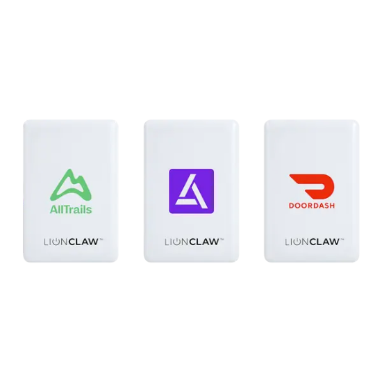 Lion Energy CLAW 10000 mAh Magsafe PD20W Fast Charge Powerbank - Group