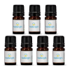 Essential Oil in 5 ml Mini Dropper Bottle - Group