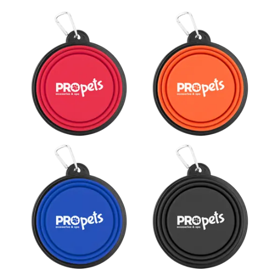 Collapsible Silicone Pet Bowl w/Carabiner - Group