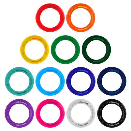 Disc-Y Business Ring Flyer - Group