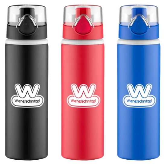 Hermosa Aluminum Bottle - Group