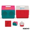 Igloo KoolTunes Cooler