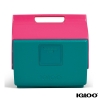 Igloo KoolTunes Cooler