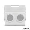 Igloo KoolTunes Cooler