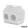 Igloo KoolTunes Cooler