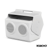 Igloo KoolTunes Cooler