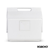 Igloo KoolTunes Cooler