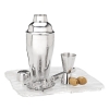 Miscela III Martini Shaker Set