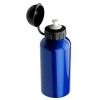 16.9 oz. Domed Flask