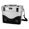 CD / SPKR / AM/FM Radio Cooler - Silver