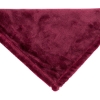Fairmont Mink Touch Blanket - Burgundy