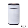 RovR IceR Mini Cooler - White