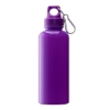 Brio 20 oz. PS Water Bottle w/ Carabiner - Purple
