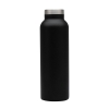 Splendid 22 oz. Double Wall Stainless Steel Bottle