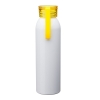 Metis 22 oz. Aluminum Water Bottle