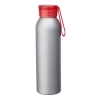 Metis 22 oz. Aluminum Water Bottle