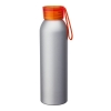 Metis 22 oz. Aluminum Water Bottle