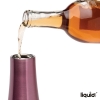 Liquid Fusion 25 oz. Vacuum Insulated Steel Wine Carafe / Bottle