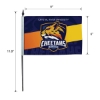DisplaySplash 9" x 6" Hand Flag - Multi-Colored