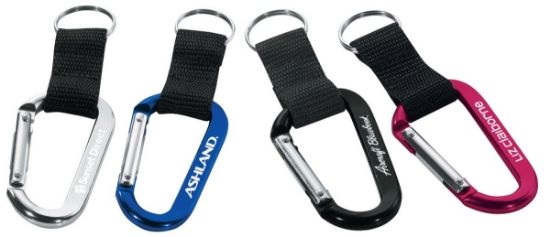 Alta Carabiner Keyring