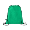 Recycled Non-Woven Drawstring Bag - Green