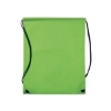 Non-Woven Drawstring Bag - Green-Lime