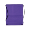 Non-Woven Drawstring Bag - Purple