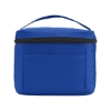 Campfire Lunch Cooler Bag - Blue