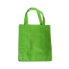 Every Day Shopper - Green-Lime