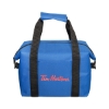 Collapsible Lunch Cooler Tote Bag