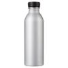 Essex 17 oz Aluminum Water Bottle - Stainless