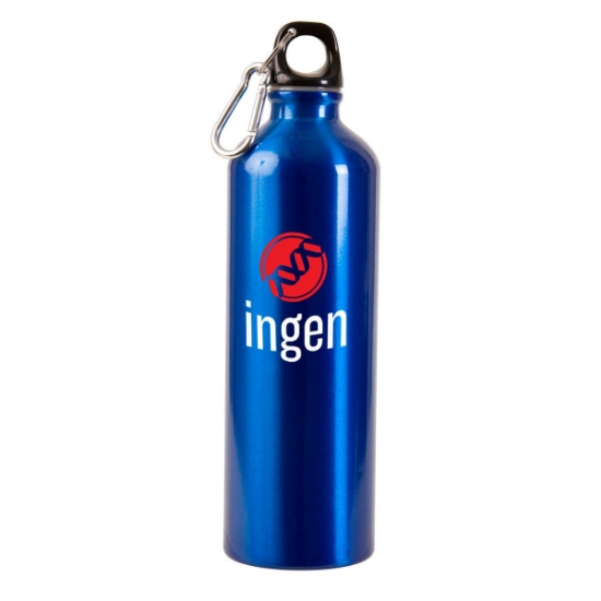 25 oz Aluminum Alpine Sport Bottle
