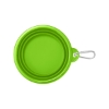 Collapsible Pet Bowl With Carabiner - Lime