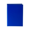 Micro Sticky Book - Blue