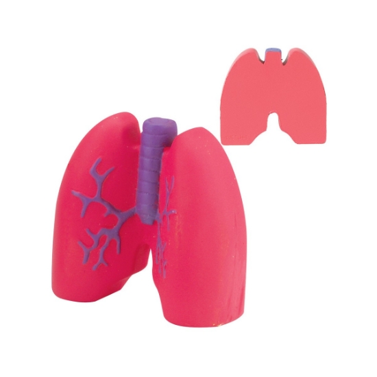 Lungs Shape Stress Ball - Red