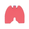 Lungs Shape Stress Ball
