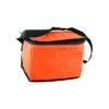 Picture of 6 Pack Non-Woven Lunch Cooler Bag