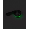 Picture of Rechargeable LED Light-Up Dog Leash