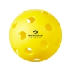 Picture of Indoor Pickleball