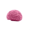 34803 brain pink image