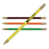 Custom Aaccura Point Pens - Group