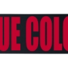 Custom 4 Badge Satin Ribbon - 25yd Roll - Brilliance- Matte Finish with Logo BR50BAR0425