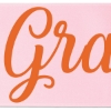 Promotional 8 Badge Satin Ribbon - 25yd Roll - Brilliance- Matte Finish Pink BR50BAR0825