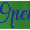 Promotional 9 Badge Satin Ribbon - 25yd Roll - Brilliance- Matte Finish Green BR50BAR0925
